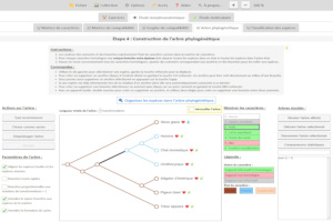 capture d'écran de PhyloGraphe